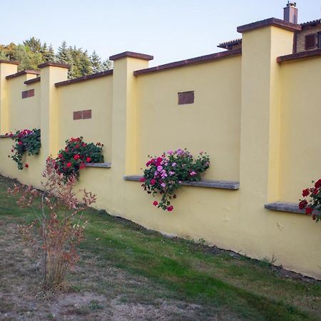 康迪克斯公寓旅馆 Sárvár 外观 照片