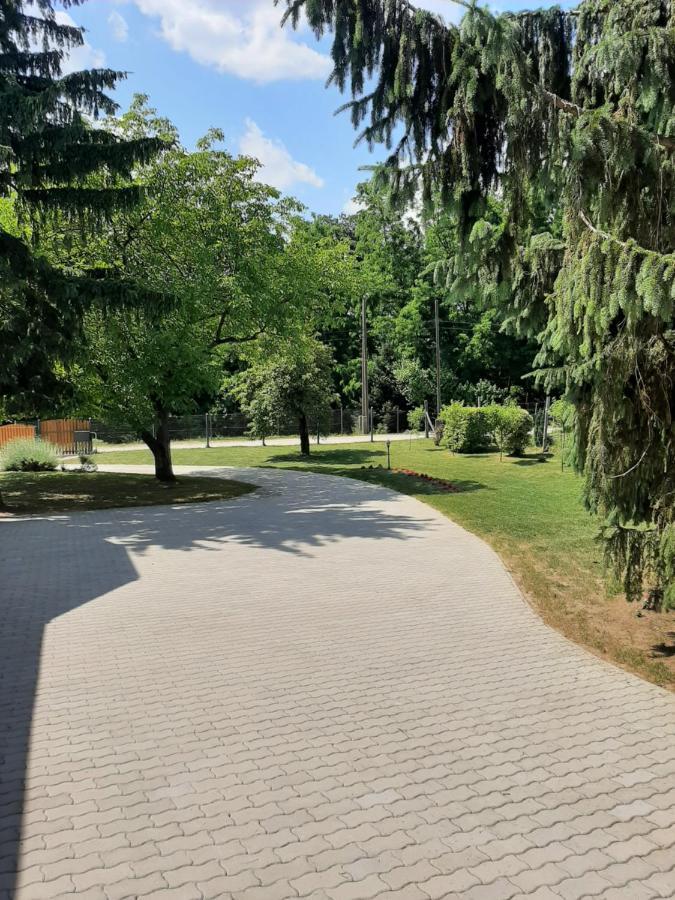 康迪克斯公寓旅馆 Sárvár 外观 照片