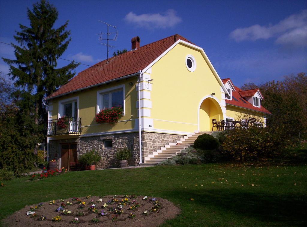康迪克斯公寓旅馆 Sárvár 外观 照片