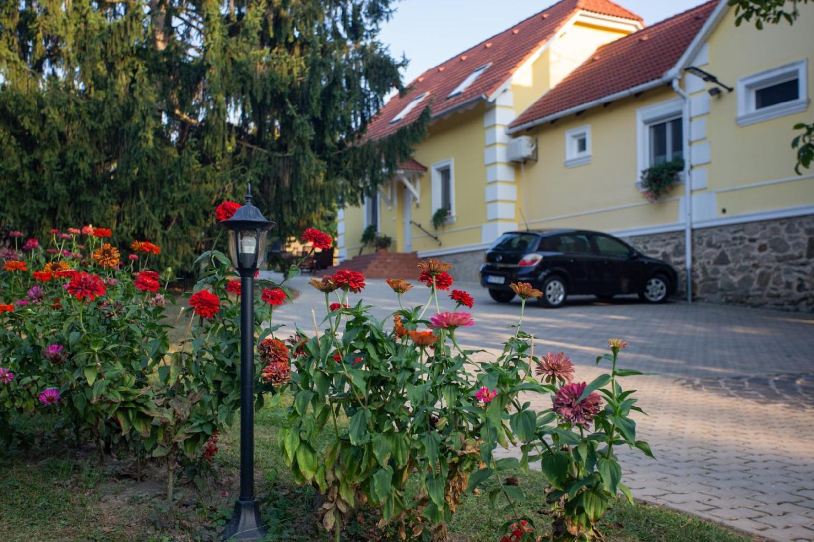 康迪克斯公寓旅馆 Sárvár 外观 照片