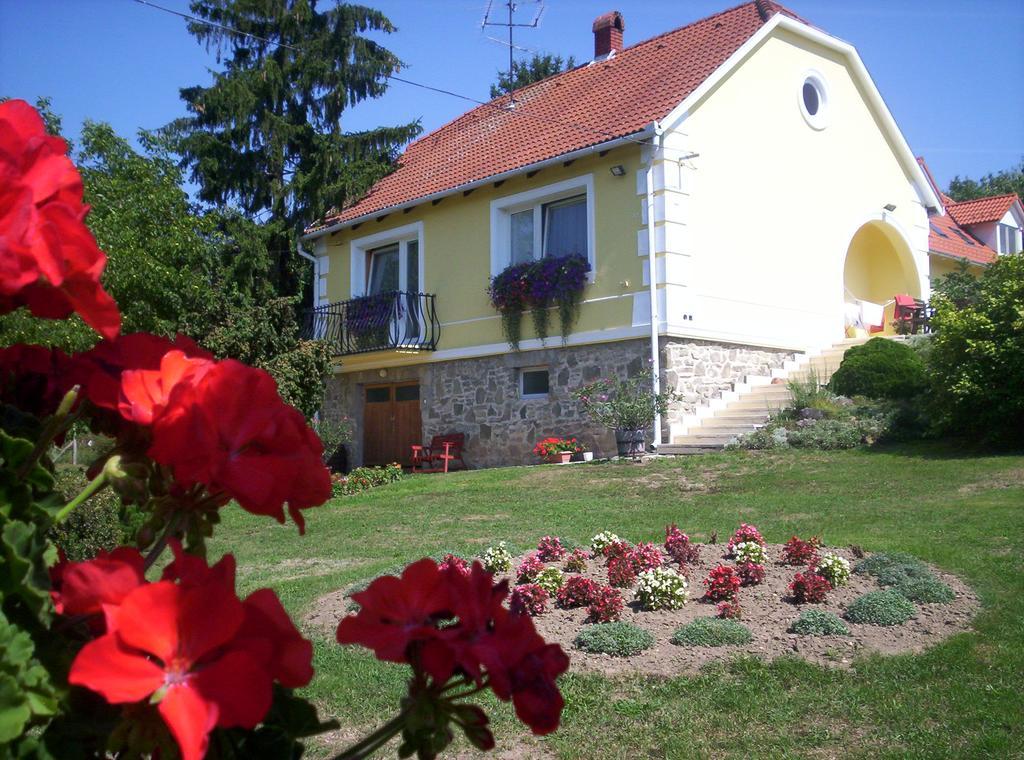 康迪克斯公寓旅馆 Sárvár 外观 照片